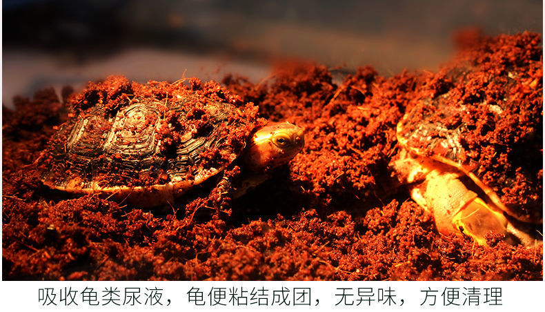 eba5b634-53b9-4d9c-8f4f-02df0b287937.jpe