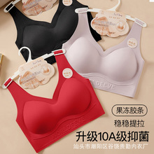 2026������ϲ�c�t�¼��b노з��o��������o�۾۔n�̶�������Ů