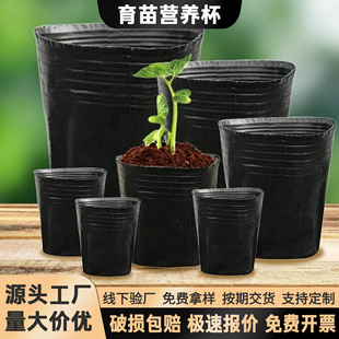 �I�B������P���������ϱ�����Nֲ�߲����NǤ��I�B������ж���