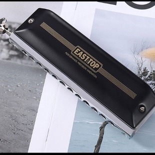 Oriental Ding Pioneer 12-hole chromatic harmonica without diaphragm and mucous membrane for novice beginners