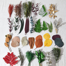 �����~�Ӹɘ��~�S���~�ȼ����~녘�����~�ֹ��˱�������