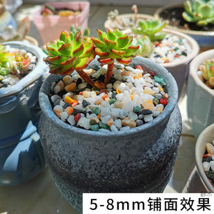 Natural Small Colored Stones for Fish Tank Bottom Sand, Succulent Pot Surface Stones, Rain Flower Stones