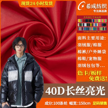 40D长丝亮光 310T压光油光涤纶布料 羽绒棉服宠物服鞋子手袋面料