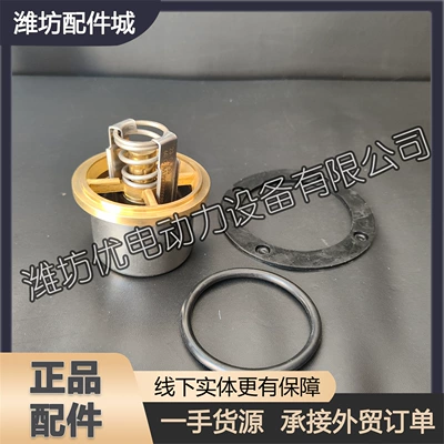 Thermostat Marine 8170 Diesel Engine