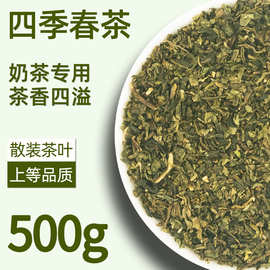 四季乌龙春茶奶茶店专用茶叶乌龙青茶水果茶原料500g工厂研发配方