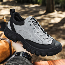 Q羳 ԭΑ\ЬƤeͽĥɽЬ޶ܲЬЬ