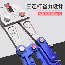 ���l�J���ྀ�Q䓽�����Q���i�Q�Ɖ��Q������䓽z�F�z�F��i�Q��