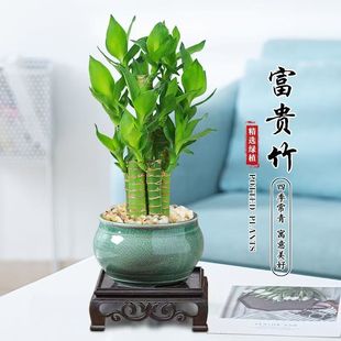 ���F���Ĳ���ɻ������ԾGֲ�����҃��k���������ļ�����՚�ˮ�B