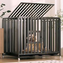 ���\�Ӵ���Ȯ��Ȯ�Ӵ��҃Ȏ�������ë߅����������������l�S��