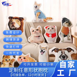 �羳���α���������Ilogo���^ɳ�l���|���� ��Ddiy��Ƭ���ﶨ��