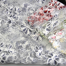 �\�]���������W�ɾ����w�F؛�������� ͯ�b�pɫ��Ƭ���W�� �¿�