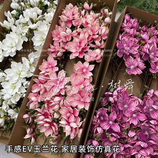 �ߙn�ָ�EV���m�ٻ��Ҿӿ͏d�b[�����滨�ָ����m��ܛ�b�廨