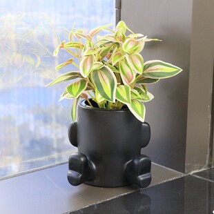 Cross-Border Simulated Green Plants Plastic Office Desktop Simulated Eucalyptus Home Decoration Simulated Plant Crafts