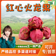 【严选】海南金都一号 5斤红心火龙果应季红龙果新鲜水果非燕窝果