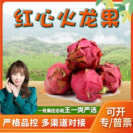 代用/养生茶;苹果;橙