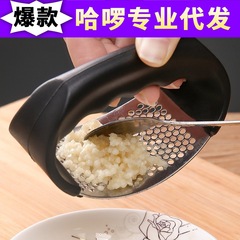 Hand-cranked Garlic Press, Home Stainless Steel Garlic Masher, Garlic Mincer, Garlic Paste Maker, Kitchen Tool