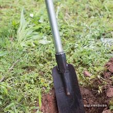 挖树铲锹起树铲锰钢加重厚树根锹洛阳铲取土器打挖洞井起苗器坑沟