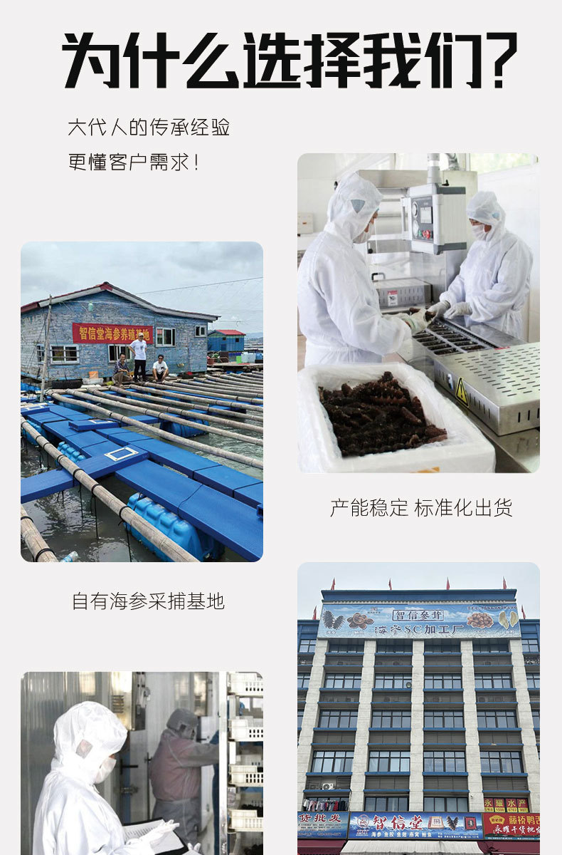 Ready to Eat Sea Cucumber Frozen Vacuum Packed 500g SC Certified Factory Direct key features