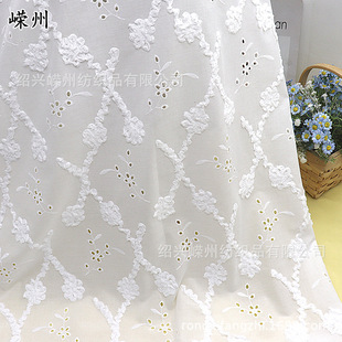 �������w�̽��P����λ����Ů�b���Y����������������ȹ����