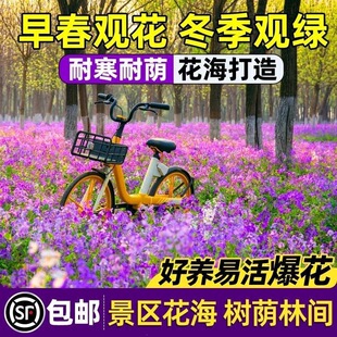 �ļ������ͺ��˷N�Ӷ����m�N�����׻����ԷN���»��ܻ��Ѵ����T��