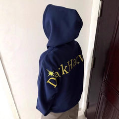 美式字母刺绣连帽卫衣女秋冬款潮牌宽松慵懒休闲情侣上衣外套ins