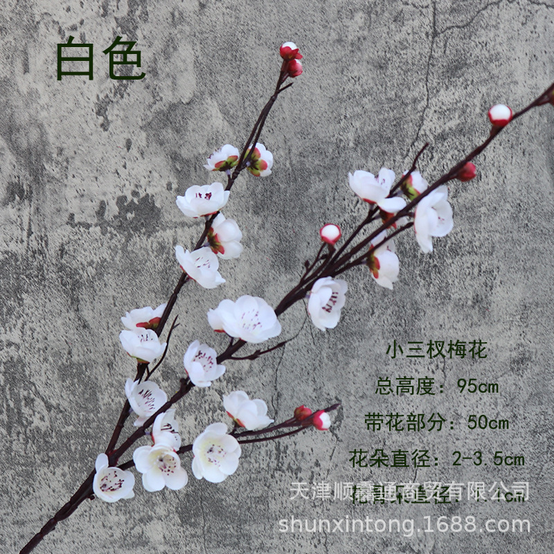 소 3 가지 매화 (95cm) 흰색