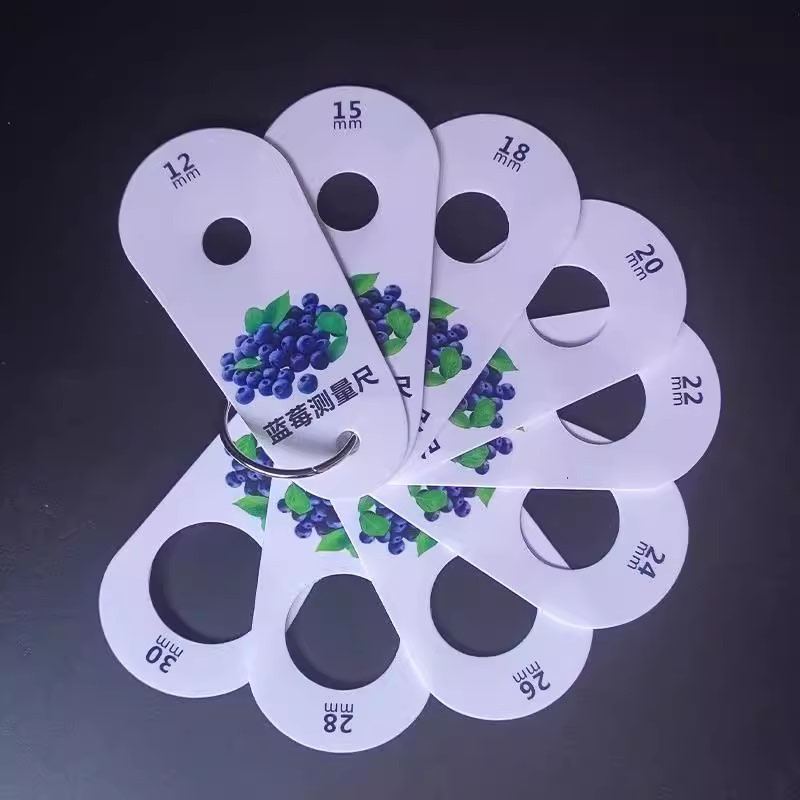 Blueberry Standard Size Ruler Fruit Diameter Caliper Fresh Fruit Grading Cherry Cherry Size Plastic Measuring Tool