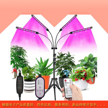 亚马逊热卖植物灯led夹子灯二三四头植物生长补光灯USB调光定时