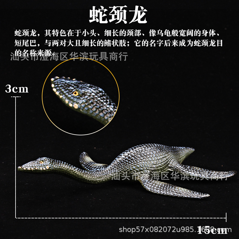 스네이크넥 드래곤 (57.5g)