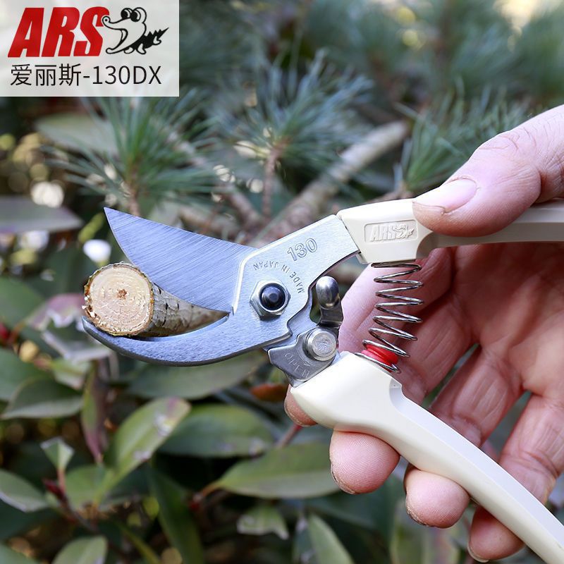 ARS爱丽斯园林剪130DX修枝剪园艺工具剪花剪枝剪树剪刀粗枝剪