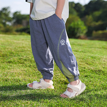 ����ѝ��ͯѝ���ı��ͯ�\��ѝ2026�¿��к��p���Lѝ�������eѝ