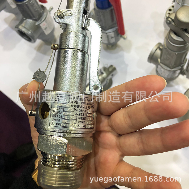 广易阀门GY-MSV-025灭菌锅弹簧式安全阀 消毒锅配件DN25 50 65 80