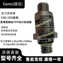 Gems~3100BϵЉ3100B0060G02B000 ͣa