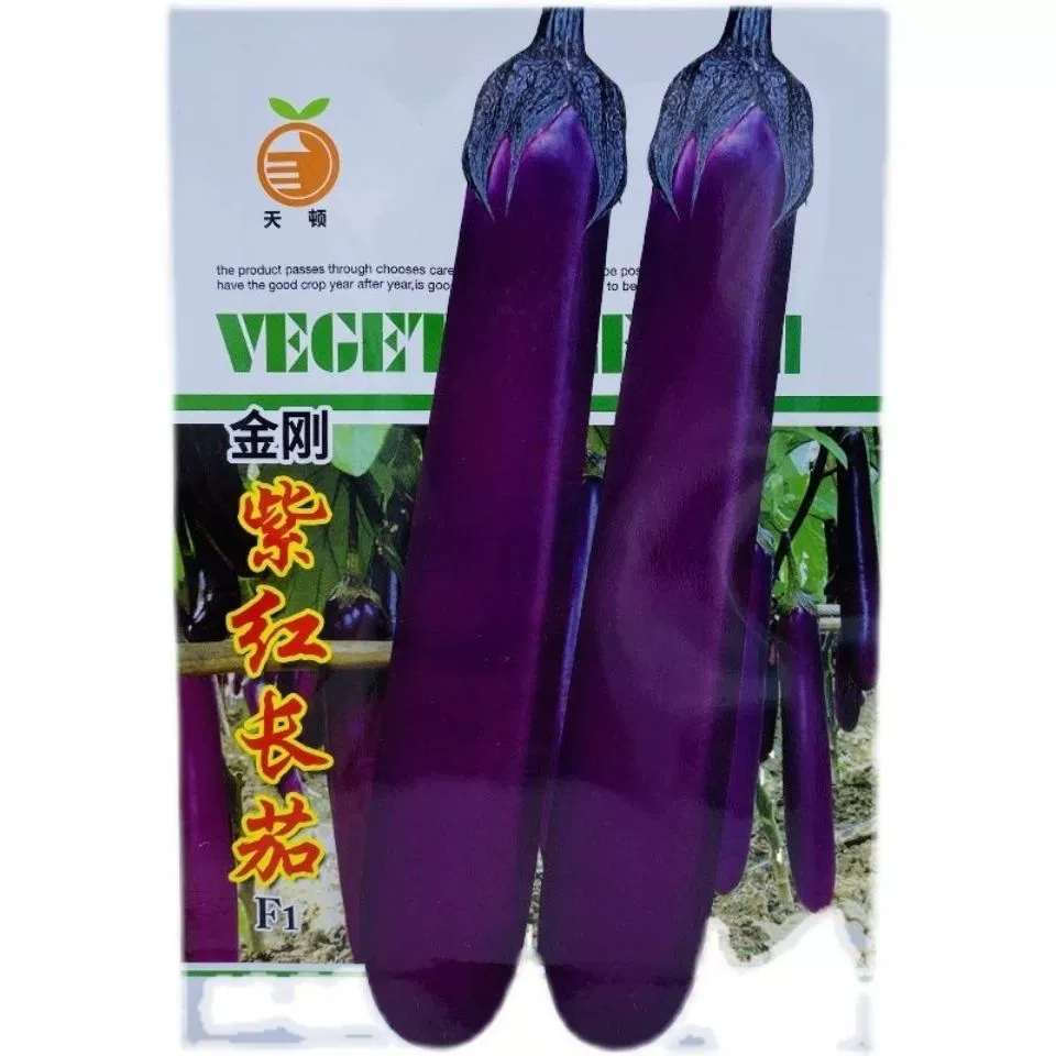 Кинг-Конг фиолетовый длинный Баклажан семена Баклажан Ранняя зрелость высокая урожайность устойчивость к болезням сильные семена овощей Бесплатная доставка