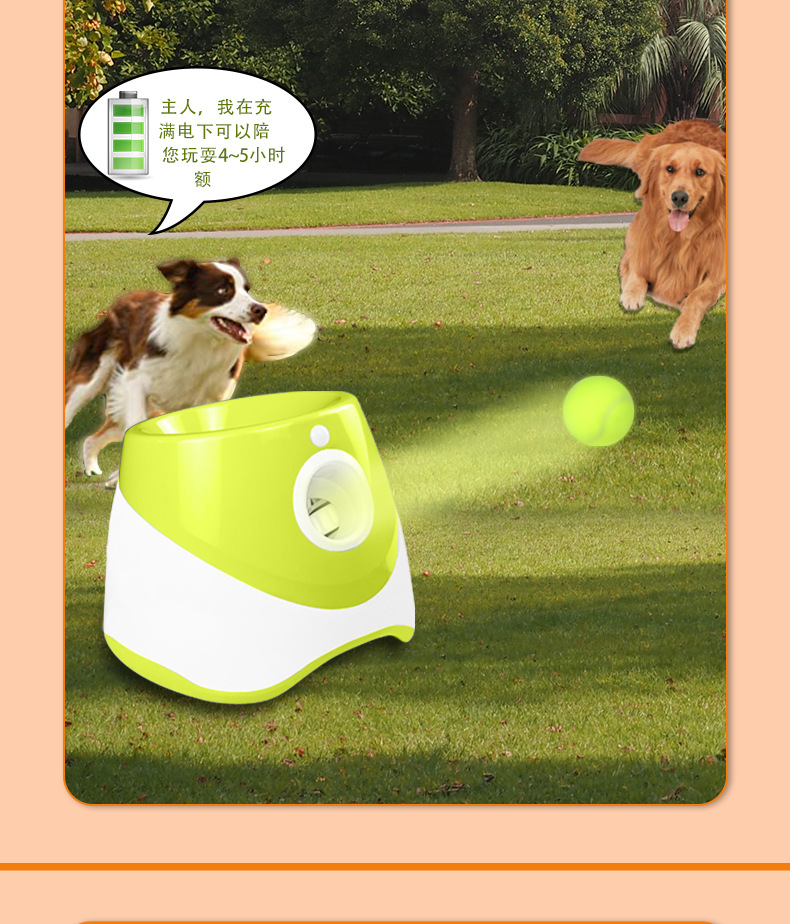 宠物自动发球机_08.jpg