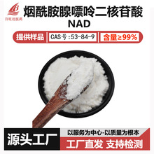 NAD99% β烟酰胺腺嘌呤二核苷酸 cas 53-84-9 优势供应