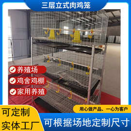 立式肉鸡笼 实体鸡笼厂家小鸡笼 养殖场/鸡舍 家用鸡笼子