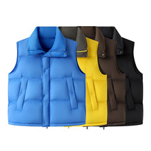 2025冬季新款女装简约时尚温暖立领短款羽绒服马甲外套5P0C13650