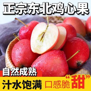 �½��������Ĺ� �������|���u��С�O��3�ﮔ�����rˮ����������