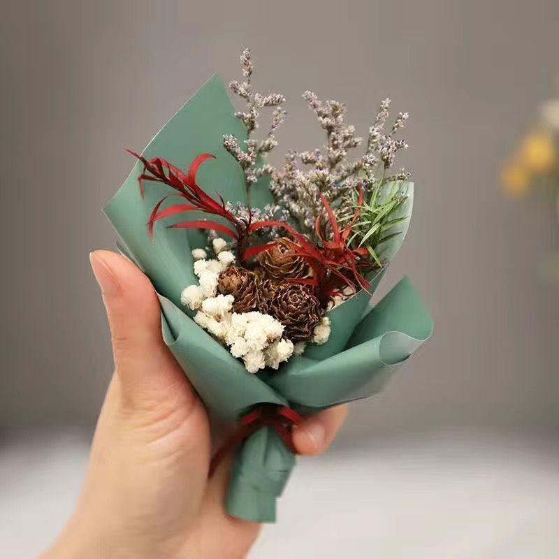 ■●솔방울 미니●■