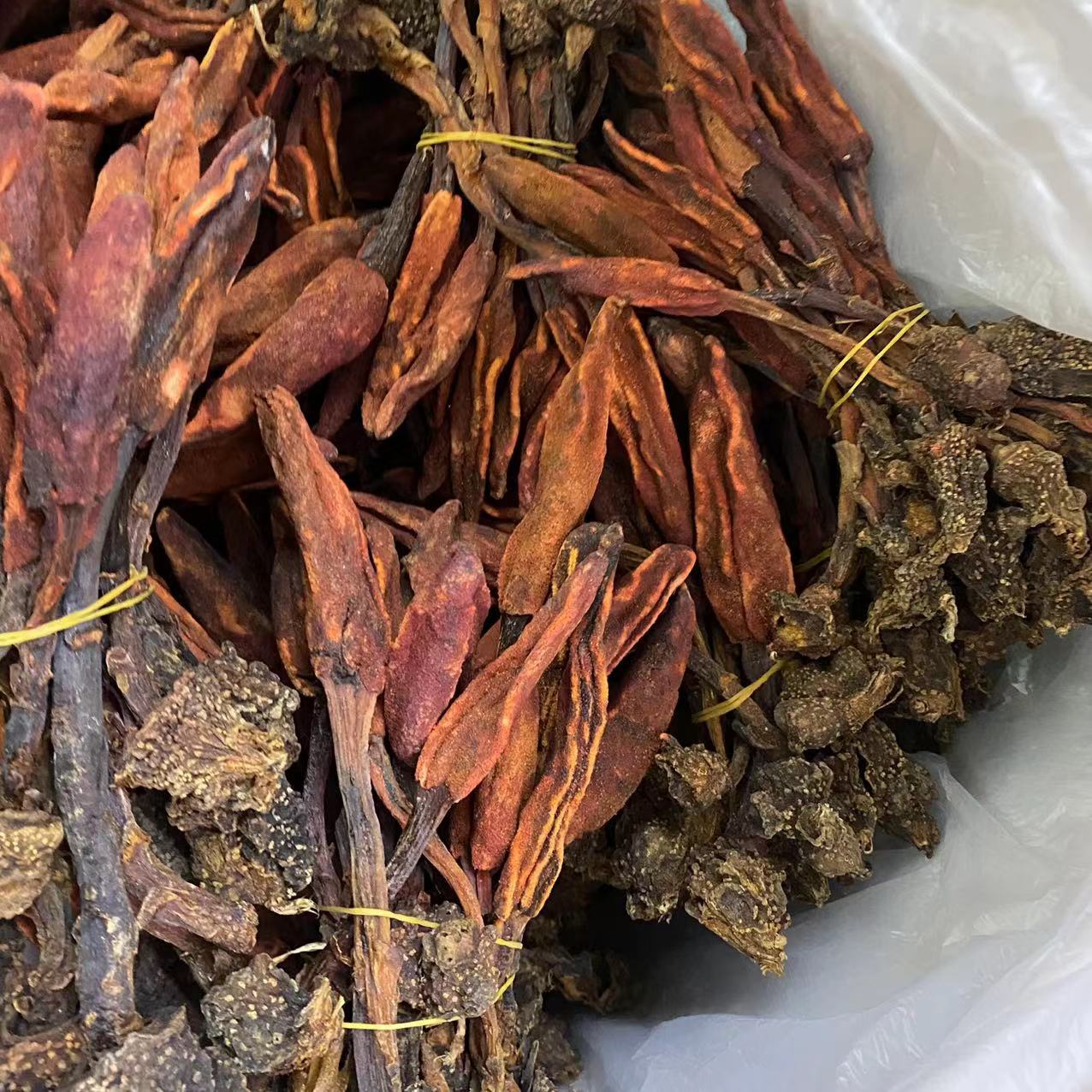云南回春草中药材草苁蓉整颗无碎不老草顶天柱泡酒料包批发代发-阿里巴巴