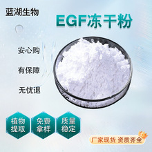 EGF冻干粉重组人表皮生长因子