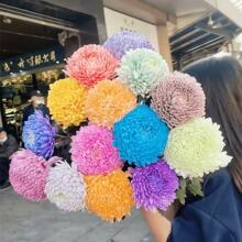 ĵ���շN�����g���F���໨��Ʒ�N�÷N�׻��ļ��_�̨����[������