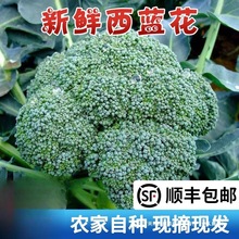 �K���r�ҬFժ���m�����r���{���G�໨�˻�Ҭ�˴��۲˻��r���߲�