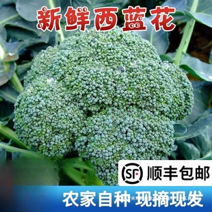 �K���r�ҬFժ���m�����r���{���G�໨�˻�Ҭ�˴��۲˻��r���߲�