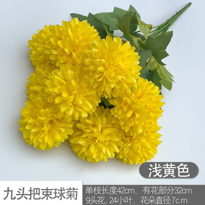 Nine -headed ball chrysanthemum light yellow