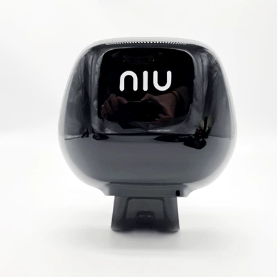 Original Backrest for Niu Electric car cushion - maverick-n1-backrest-black