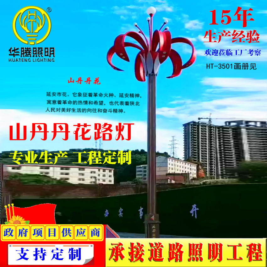 城市道路亮化组合灯玉兰灯中华灯LED路灯山丹丹花灯街道市政工程