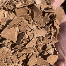 F؛ţBֳϷNֲϼԺr