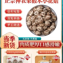 神农架花菇房县小花菇香菇干货500g冬菇2.2cm椴木蘑菇土特产包邮